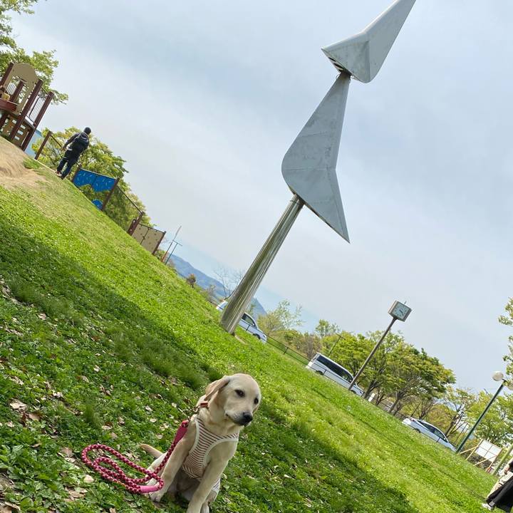 Deb803a6 ba88 4017 a049 c0fb084d007c 1618184116556