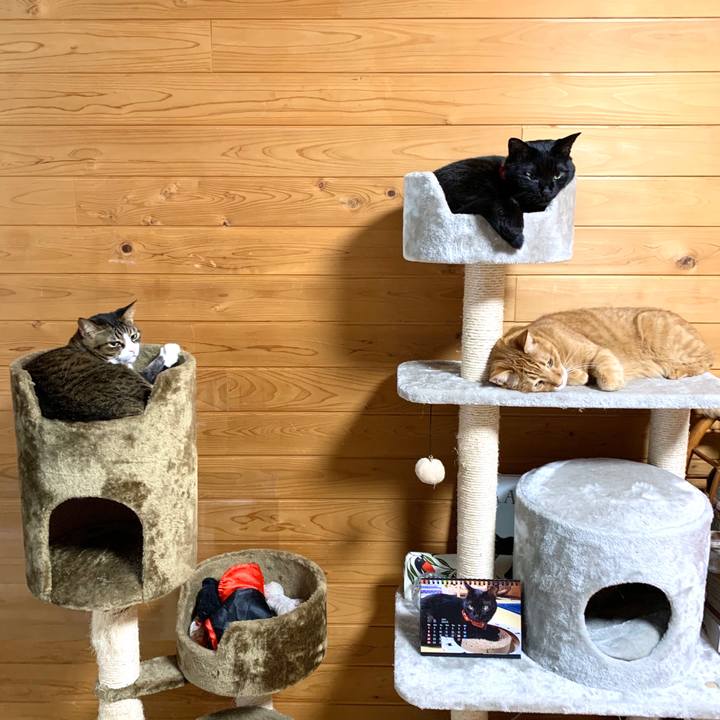 Deb85a16 3e09 423d 8934 d97d8fe29b66 1583797421187