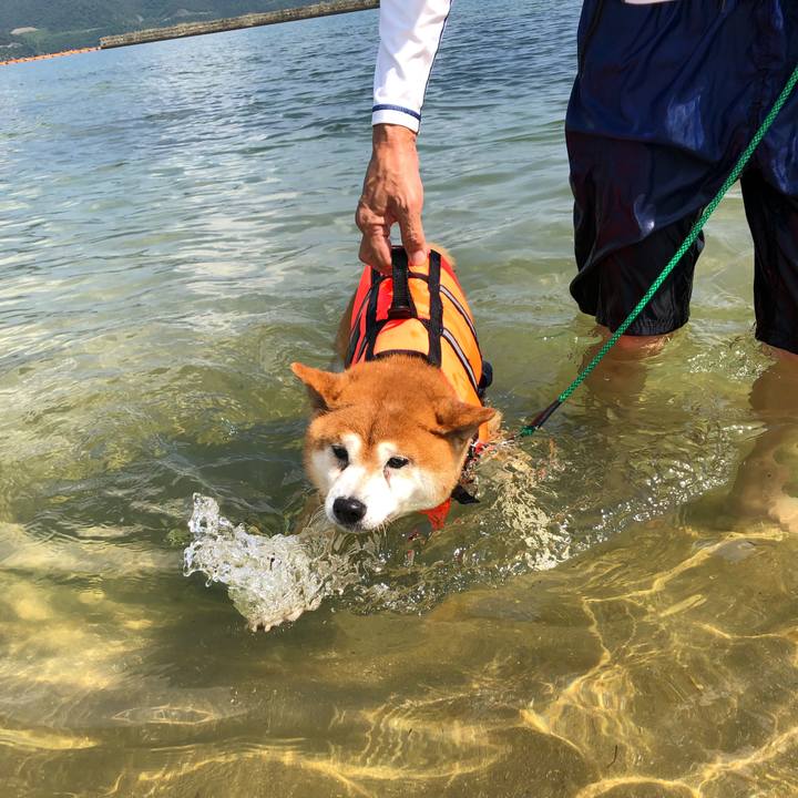 Deb861ef 659c 4458 b70c 1819232ff18f 1566705570818