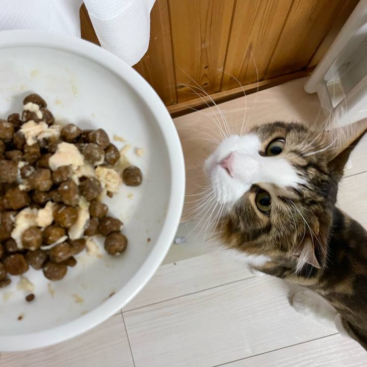 Deb88cf2 c4c2 4062 9984 b36a1cacd447 1660767271350