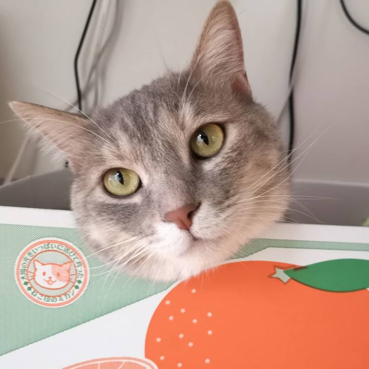 Deb89216 4777 454e b7c6 f0c071eae9e0 1562122869066