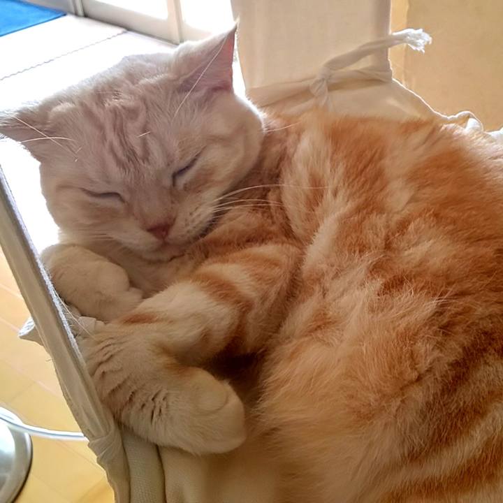 Deb8b91a ba77 4c22 a381 39e9c6a06051 1570425118980