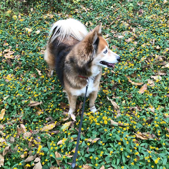 Deb8c264 ffc3 4802 8aa9 62766366d11c 1606120070912