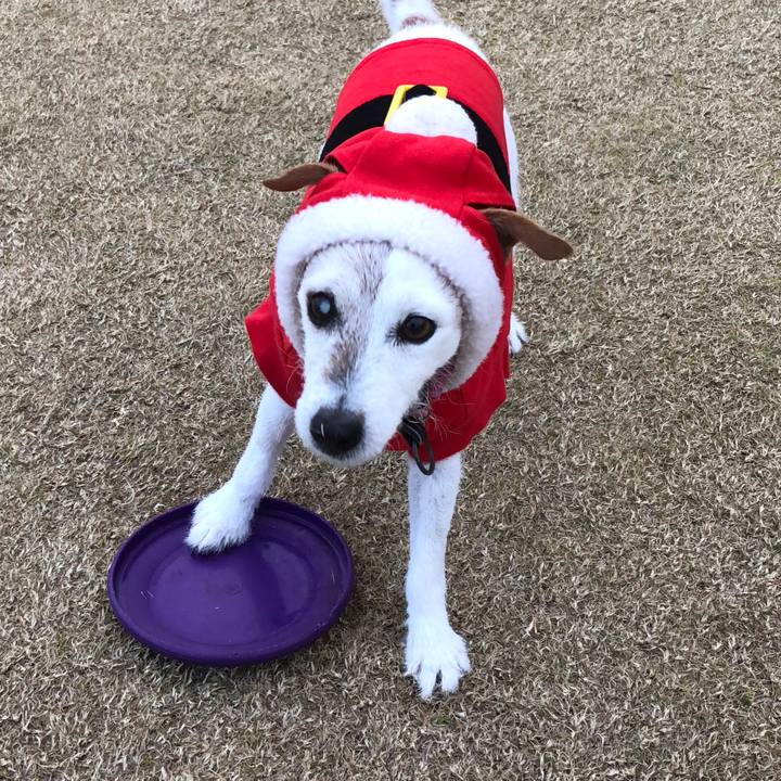 Deb8ca3a 6d68 4c9d 90d3 e1e3f29fa647 1514109952863