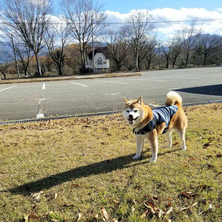 Deb8d049 4291 409c 8d34 dcfd713e703d 1637640586969