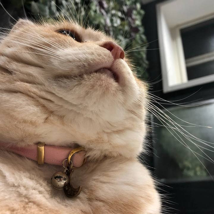 Deb8d419 47c5 49bb 89dd e5f50c23623e 1577149082266