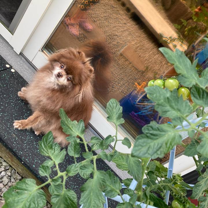 Deb8ea0e 26a1 4f4d a5c4 c5c6be5b09d7 1690495574097