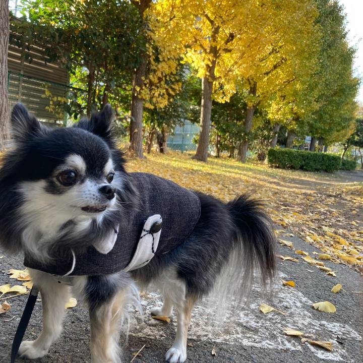 Deb922d0 95fc 4e33 9054 ac30218567b4 1764207357813