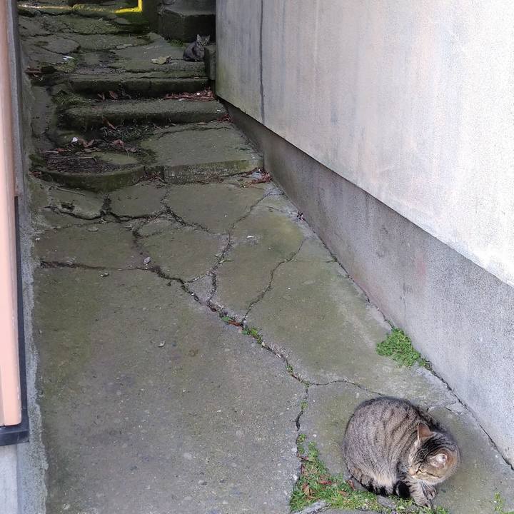 Deb92c41 23bb 47b8 878b 75d09aeaaaa8 1607430019010