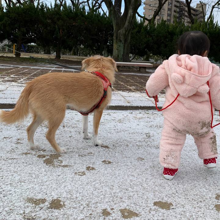 Deb9366a e945 4e13 9949 e3ad73eca41b 1610244486288