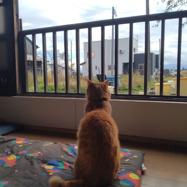 Deb94cf4 02e0 4688 a6f3 c26be193f546 1667363320506