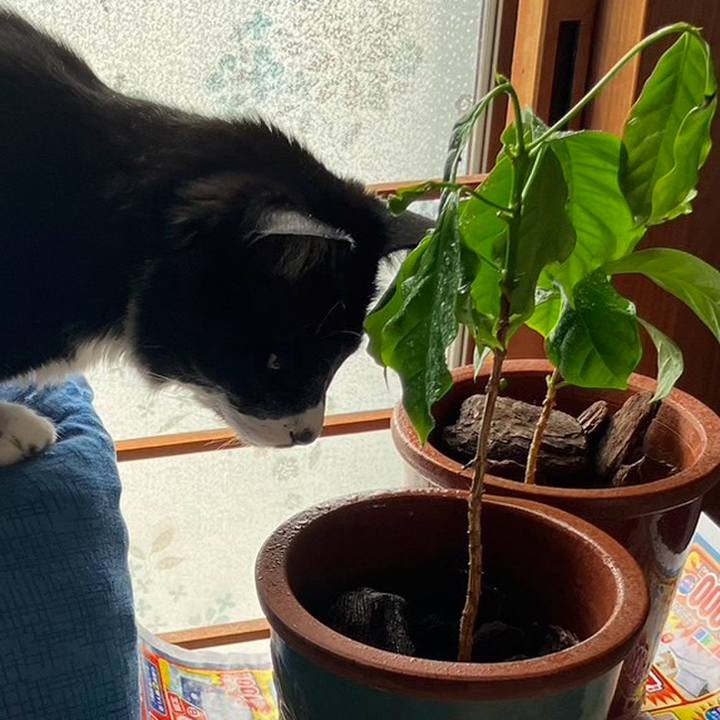 Deb9b45c 455d 4278 b56f a6edbefabc90 1718249558602