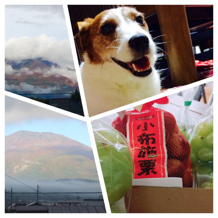 Deb9b45e 3f8b 4a83 b013 1b62deff2696 1507946050351