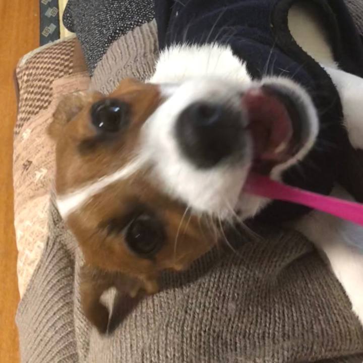 Deb9c724 5fd4 4d7b b937 f910855f245c 1516066091032