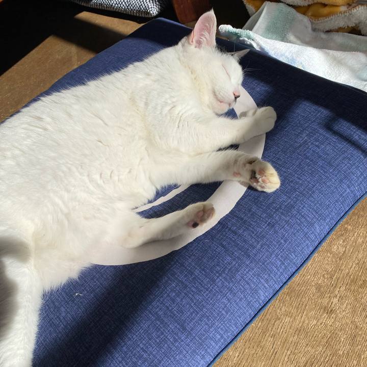 Deb9d33b 000c 4eee 812c d182416b7678 1636596962864