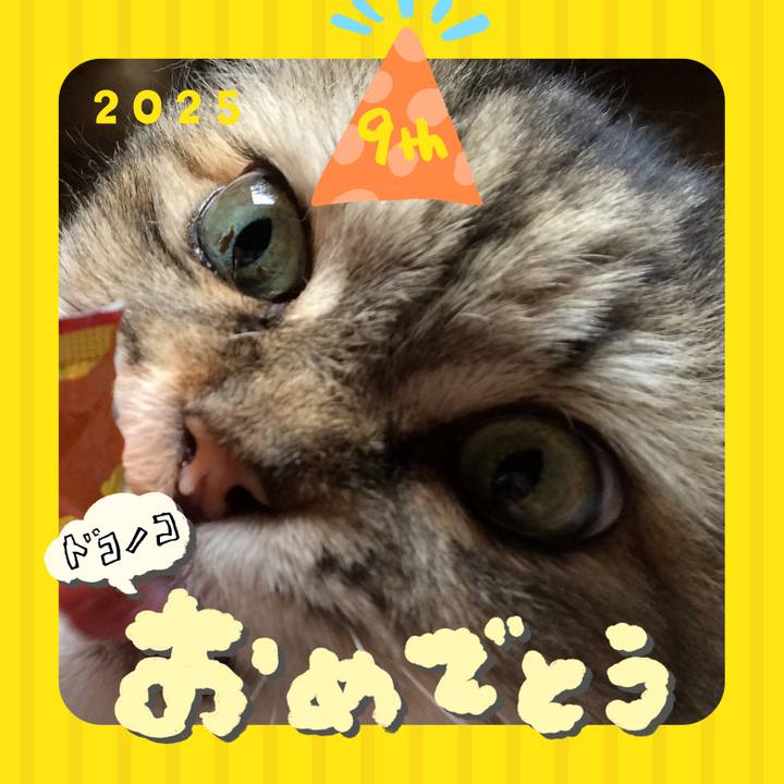 Deb9e15a c596 4b0e 9042 81009f9fb9d8 1749092969444