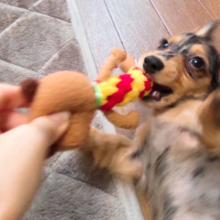 Deb9f46c cdff 4dee 9366 02011394421a 1695685844413