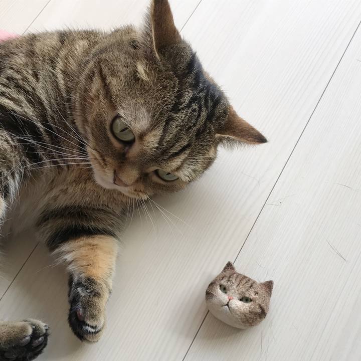 Deba387e d9f2 483a b8b3 457945738e91 1524985606605