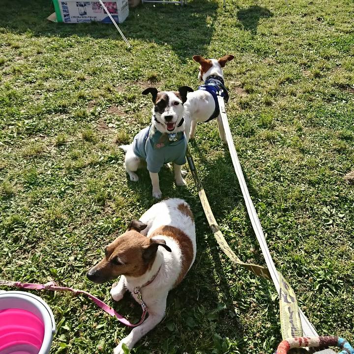 Deba421f 3c9b 4ffc 95b7 843696b02121 1525506461052