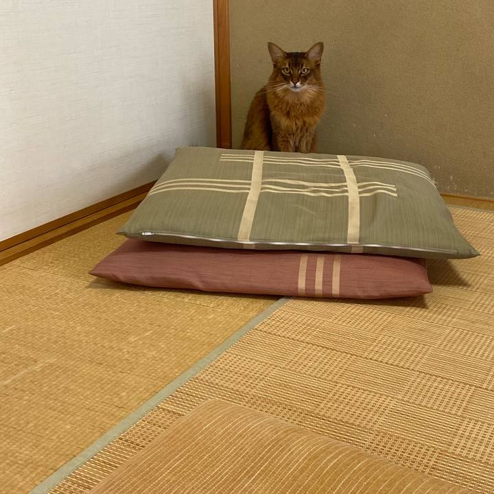 Deba70b9 1271 4107 8493 df6e7414be91 1658533830546