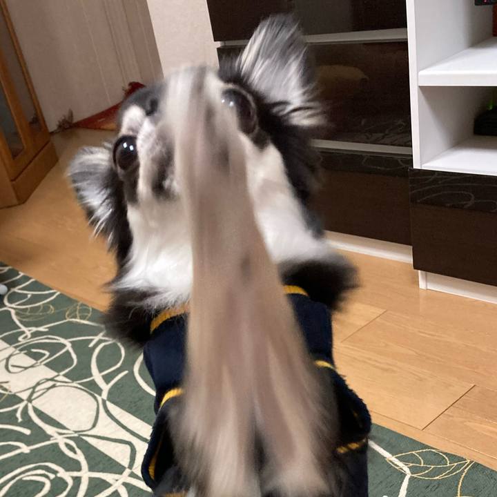 Deba8d2b 940b 4243 8910 5959d7457fe4 1648300324368