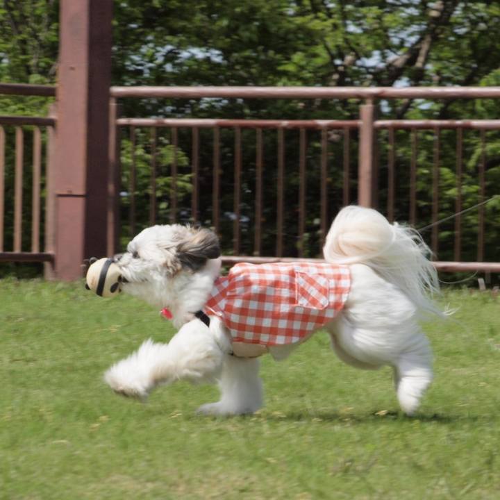 Deba9851 9966 473a a97b 82b05600173f 1525093107399