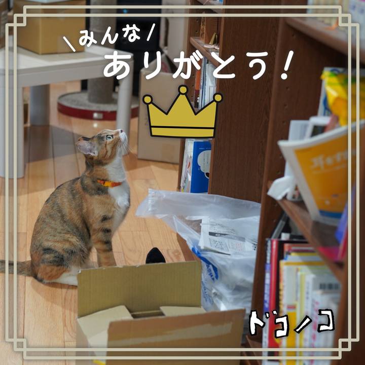 Debaa2f1 1a16 4d51 8060 76875ef8e691 1622961038788