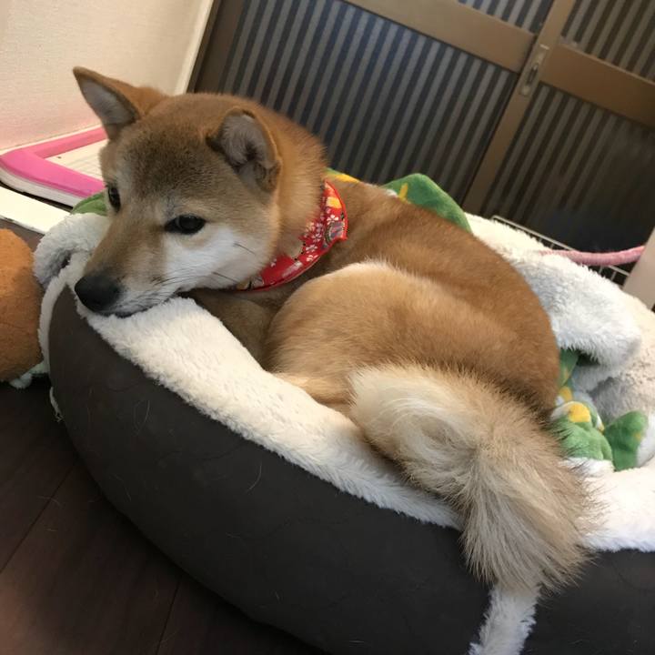 Debab4a9 2a3a 4cea 99da 18b1559c0497 1516002722615