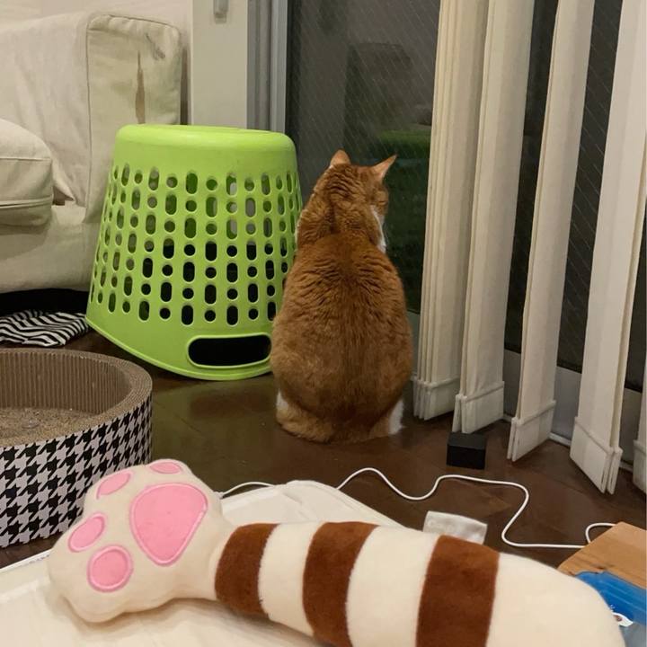 Debab989 e980 419d a32d dfe42f2db76e 1763121539507