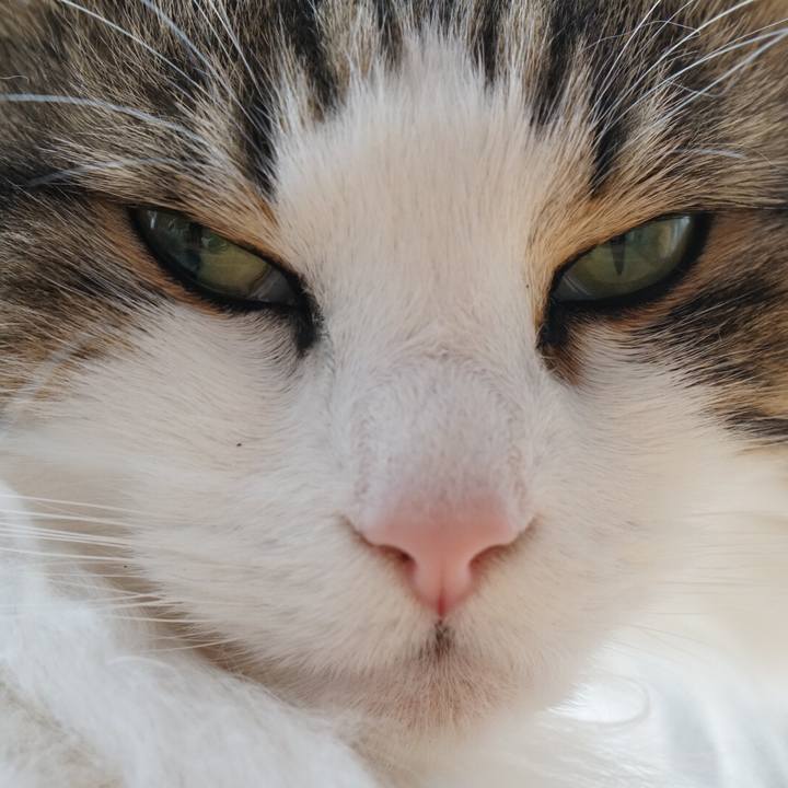 Debae492 9b14 42bf b9f1 c0e347b8a62e 1556170672795