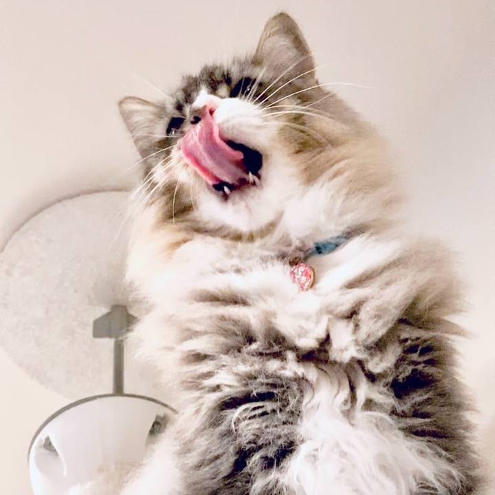 Debae7e5 b986 494e 882b 929e96cd0f18 1761837927525