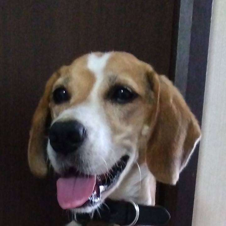 Debb0289 1ed5 4bd8 945c 497e569e9c50 1697027625295