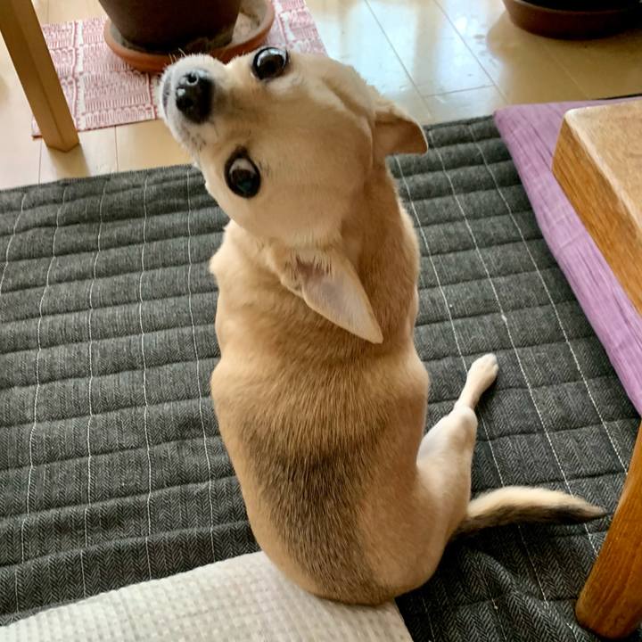 Debb02a5 1bb1 4c00 a2a6 23831449ab8b 1623745388941