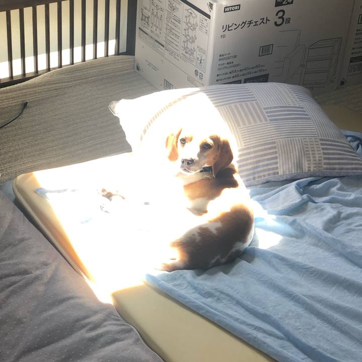 Debb09a2 b996 44e7 b28a 39565277c87c 1589327357727