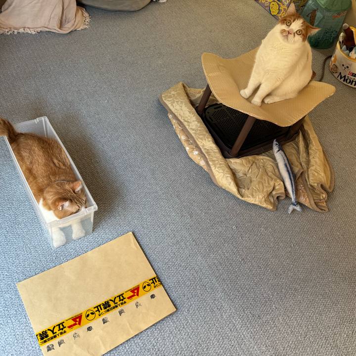 Debb110a 06ad 411d 9aa0 d45b13387f5b 1768005754643