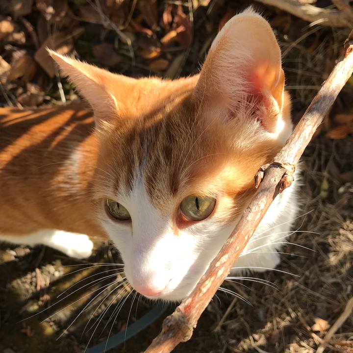 Debb36fb bc2a 4f42 8a5a b75e43bb99cf 1514782900448