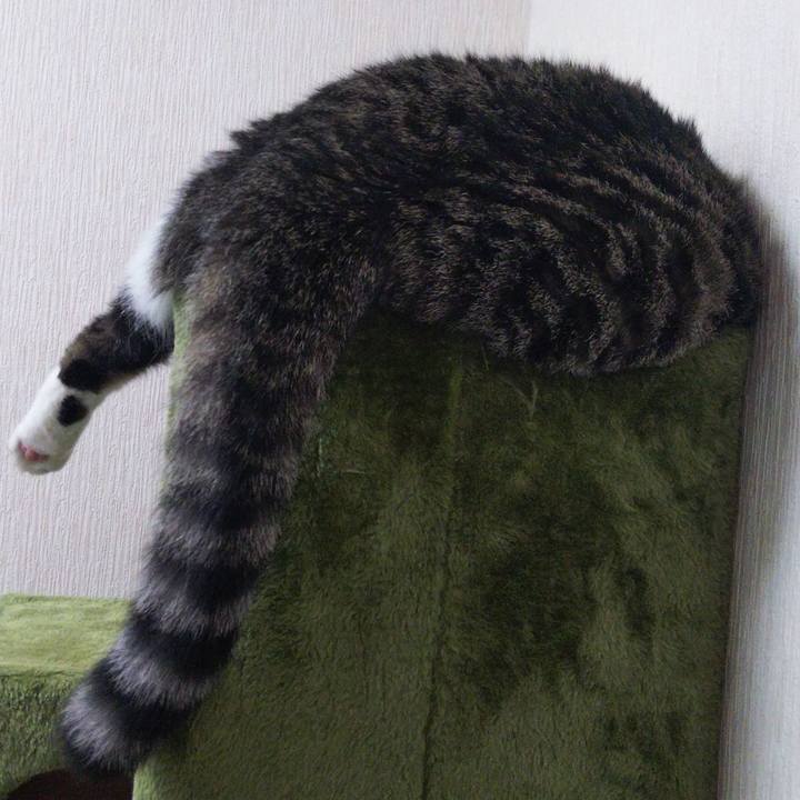 Debb3923 9b7c 4d8f bfc9 675bdd4c0d48 1630232268782