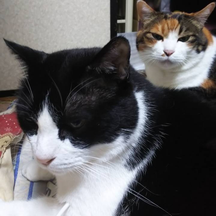 Debb6e29 4f7d 44df 9fc1 775f634b5294 1572472026442