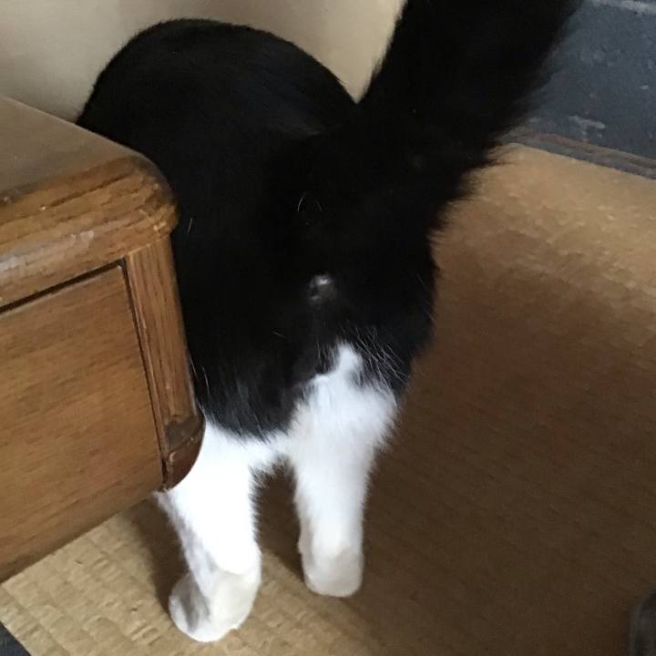 Debb7a55 39ba 4bda b667 2a9d5920606b 1742090359894