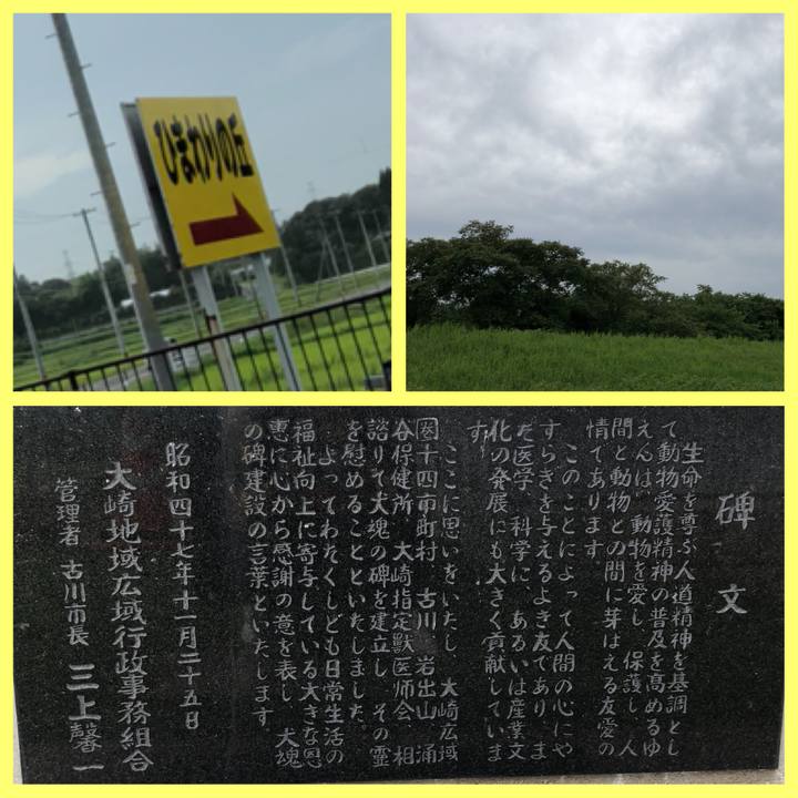 Debbb812 5814 42a9 af31 2ec4b18b2c9d 1535124695828