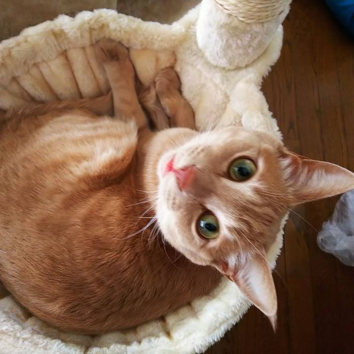 Debbd02e 92d6 4a08 9821 f4334f6a88f8 1581836435451