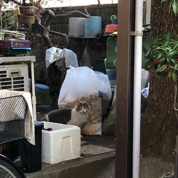 Debbd9e8 1640 4e36 a2cb feac8ca69677 1643879688558