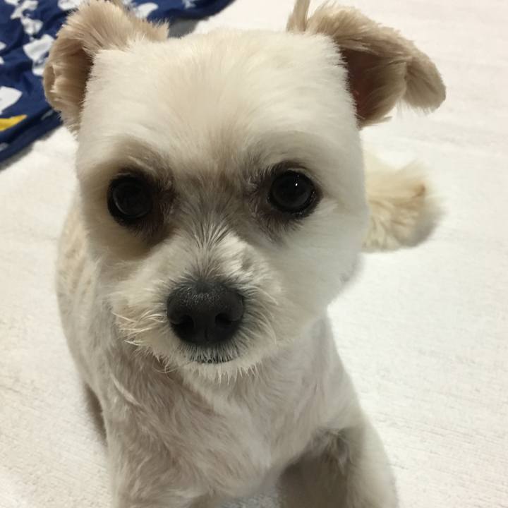 Debc2c9a 9c47 40a7 9226 fff883cdecf8 1562667241376