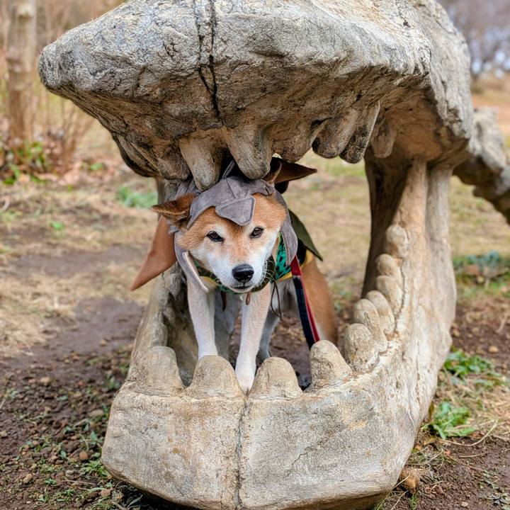 Debc2f39 66ec 4ca7 b0ea e5fd1d6a2c96 1766119891967