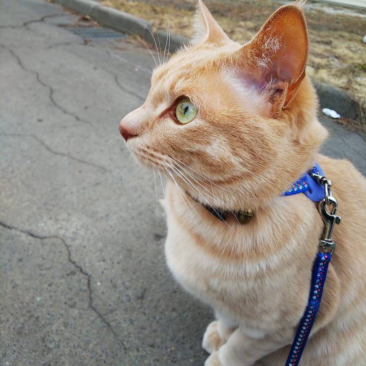 Debc41a4 0df1 4f8f a3b2 61ea3185137e 1616658400368