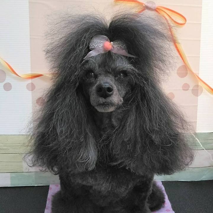 Debcbf14 1e3e 42b0 bc6a efab49a9db0d 1707405497518