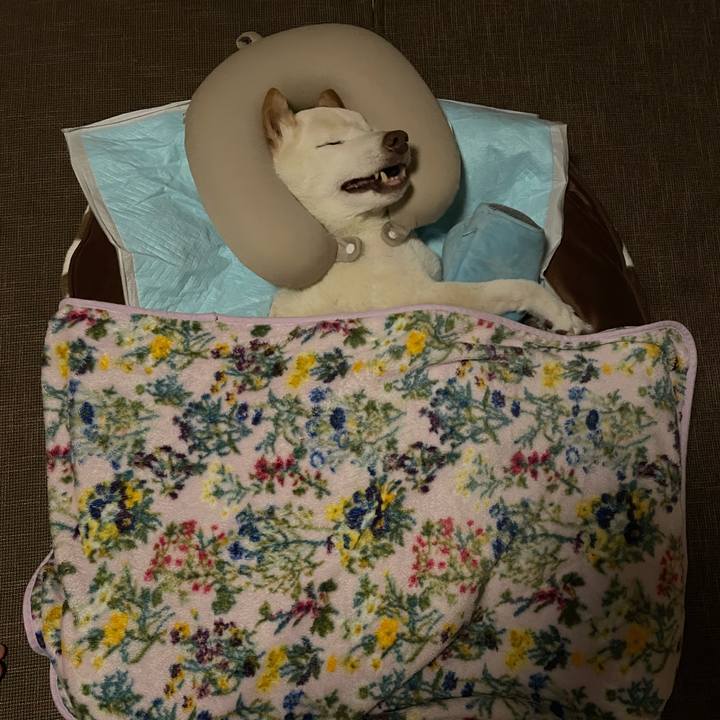 Debd0880 1a81 43d5 931d a516241c6155 1667401455556