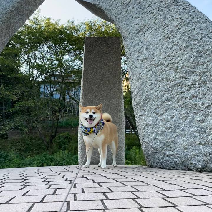 Debd0b14 923b 474d b7cd 383298cf4d8c 1598192912779