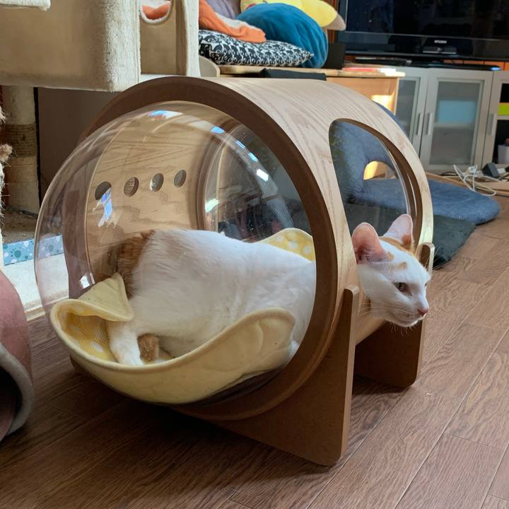 Debd1ad3 ce1a 44fb 901f 4255fd1ebfd7 1598761763777