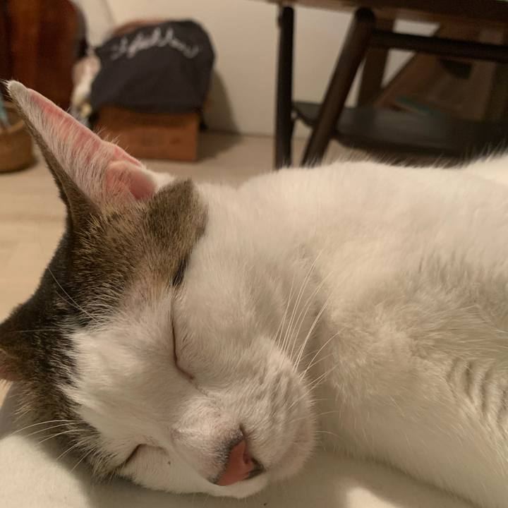 Debd341b 8bbf 46cf bfc5 6f07f9b1e244 1591968364113